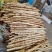 【实力推荐】小白嘴精品3斤装，产地直发一手货源