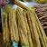 【实力推荐】小白嘴精品3斤装，产地直发一手货源