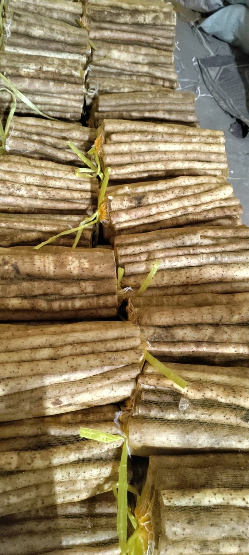 【精品推荐】普通白嘴5斤装网袋，量大从优代发全国各地
