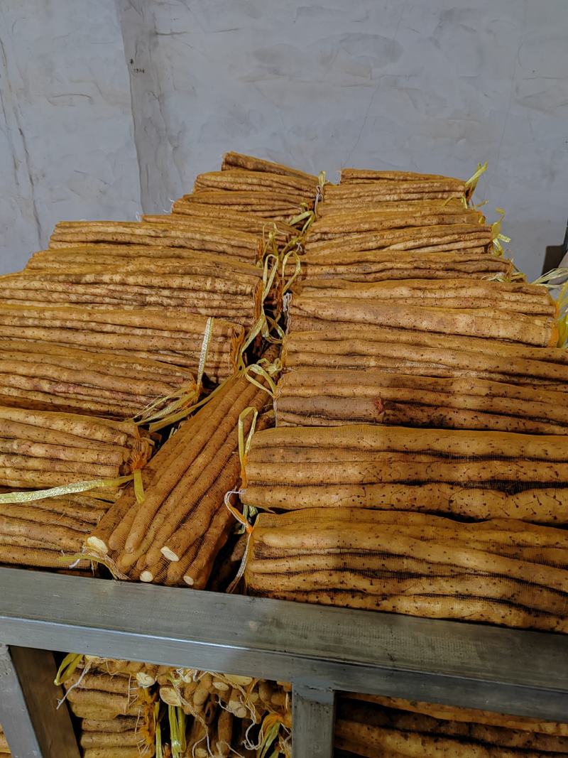 【精品推荐】普通白嘴5斤装网袋，量大从优代发全国各地