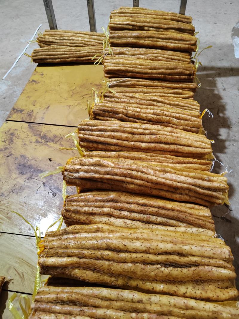 【精品推荐】普通白嘴5斤装网袋，量大从优代发全国各地