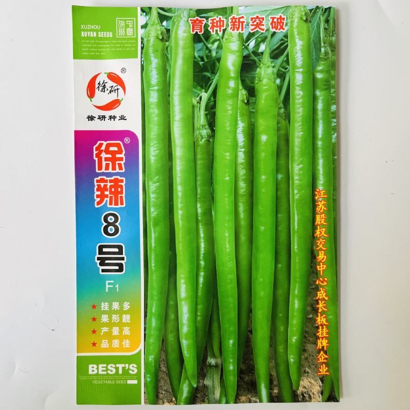 徐研21号线椒种子长辣椒种杂交品种