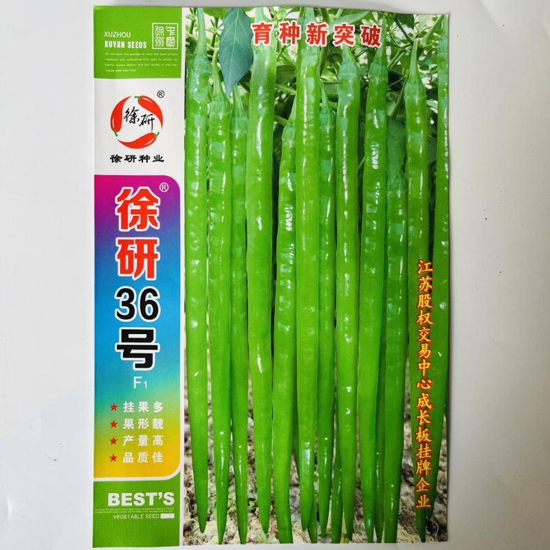 徐研21号线椒种子长辣椒种杂交品种