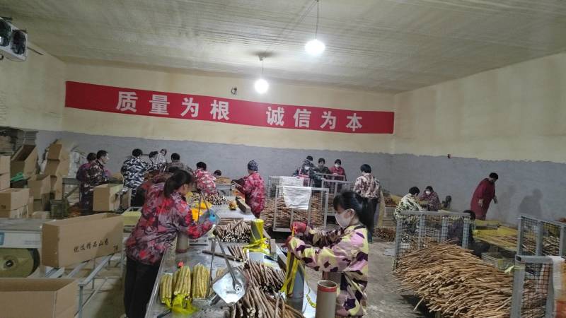 山药河北蠡县小白嘴山药，可对接商超电商饭店批发市场