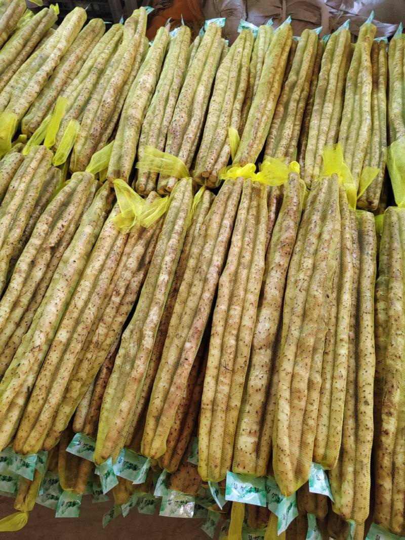 山药河北蠡县小白嘴山药，可对接商超电商饭店批发市场