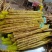 山药河北蠡县小白嘴山药，可对接商超电商饭店批发市场