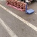 龙薯九号
