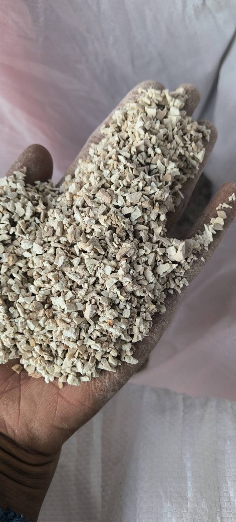 茯苓颗粒