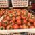 云南红河番茄西红柿货源充足全国发货欢迎致电订购