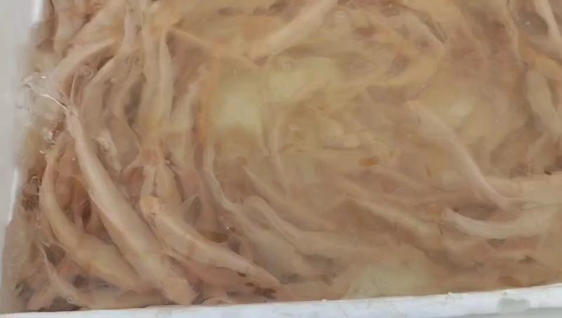 淡水鱼银鳕鱼，产地直发，品质保证，可视频看货，欢迎选购