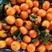 广西金秋砂糖橘，口感甜，颜色漂亮，个头均匀，皮薄，肉嫩。