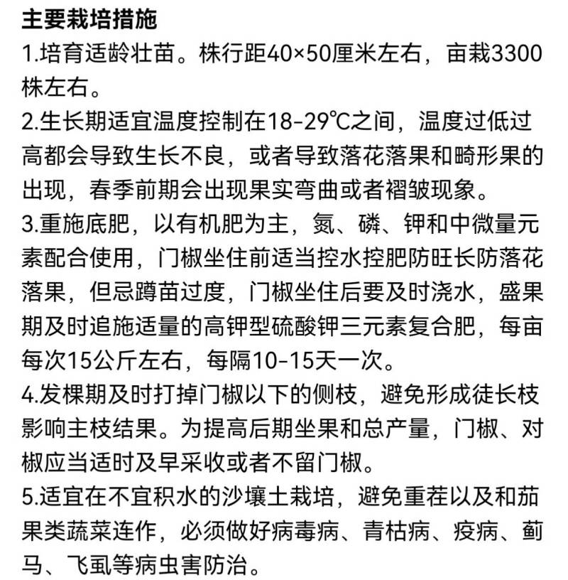 欧兰德绚丽37螺丝椒种子全螺顺直薄皮香辣特大陇椒春秋辣