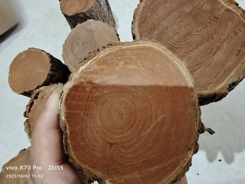 文冠木中药材干货选货个子做手串量大优惠