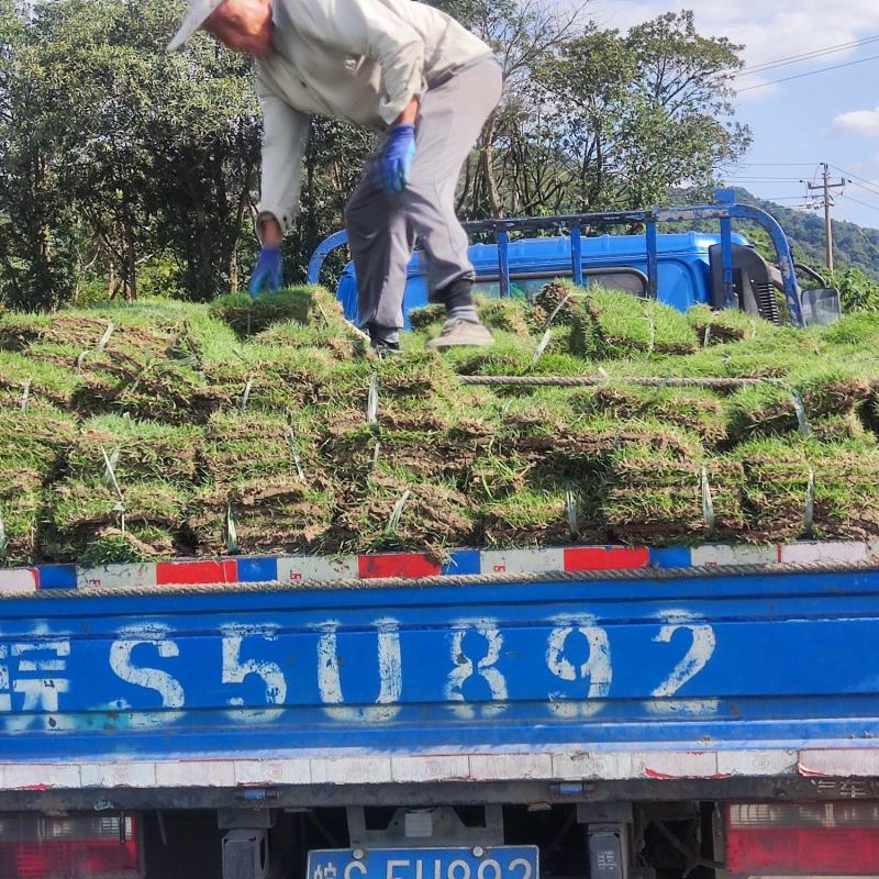 精品马尼拉
