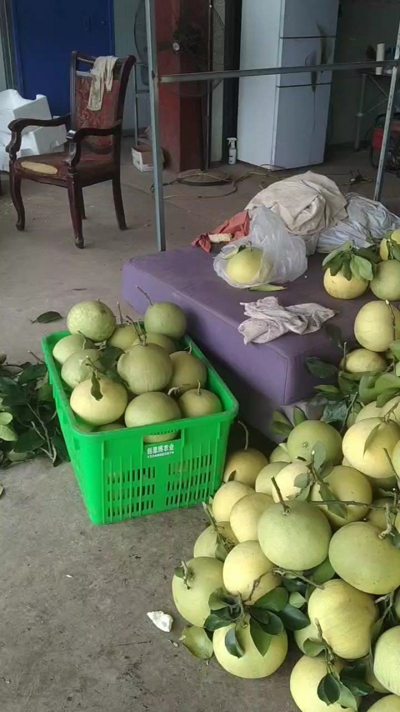 松林红心柚，囗感纯正，色泽鲜艳，皮薄肉红，水份充足