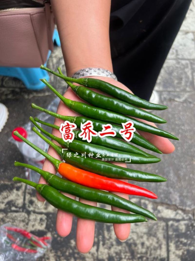 尾期果大富乔二号大果朝天椒种子青红两用朝天辣椒种子新品种