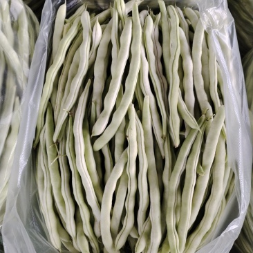 新开园精品白豆角