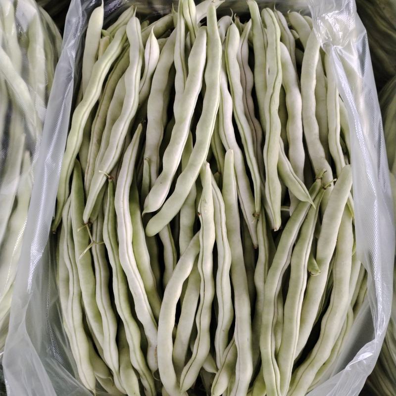 新开园精品白豆角