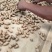 炒货用海花花生果货源充足大量上市质量保证