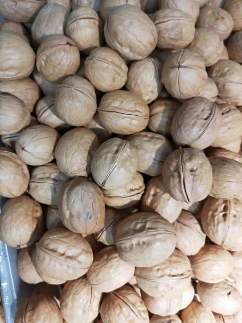 薄皮核桃新鲜现炒草本味真正壳薄销往全国欢迎致电