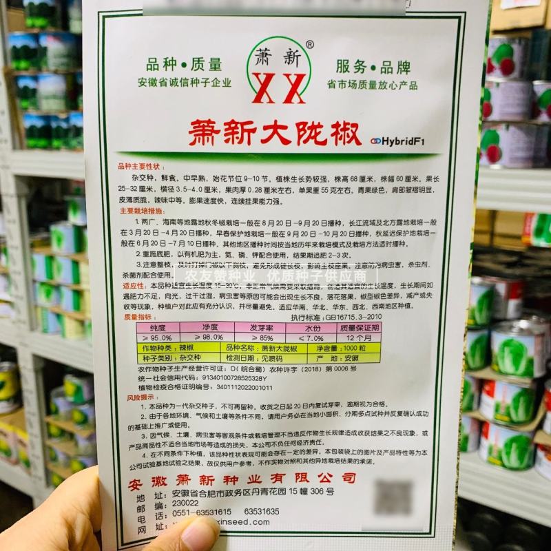 基地专用陇椒种子萧新大陇椒种籽辣味香浓，早熟抗病耐低温