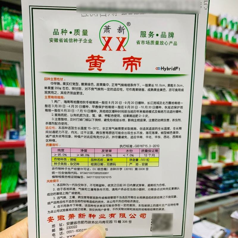 萧新黄帝甜椒种子一代杂交黄色甜椒种子观赏食用辣椒种子
