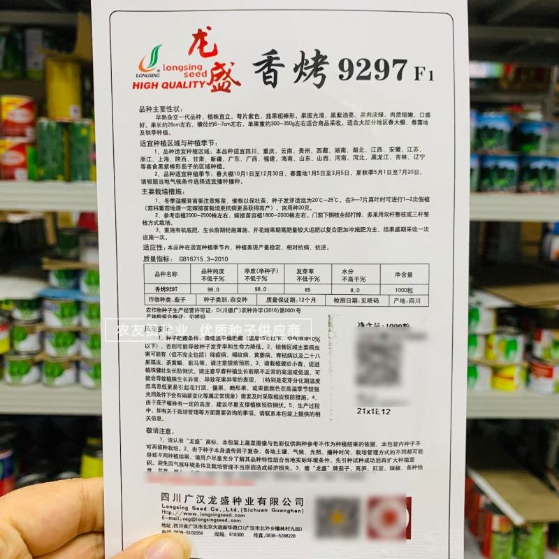 基地专用烧烤茄种子肉绿香烤9297新品种茄子种子黑紫油亮