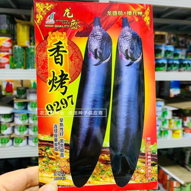 基地专用烧烤茄种子肉绿香烤9297新品种茄子种子黑紫油亮