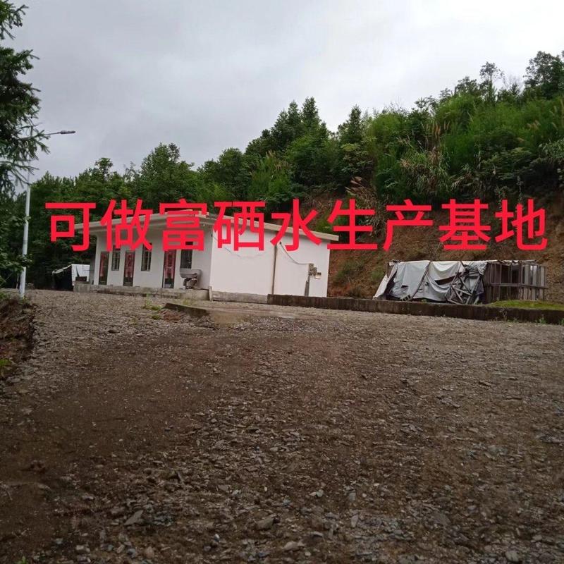 自有地皮出租/可以做富硒水生产基地、和民宿