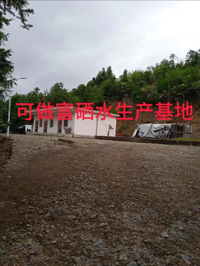 自有地皮出租/可以做富硒水生产基地、和民宿