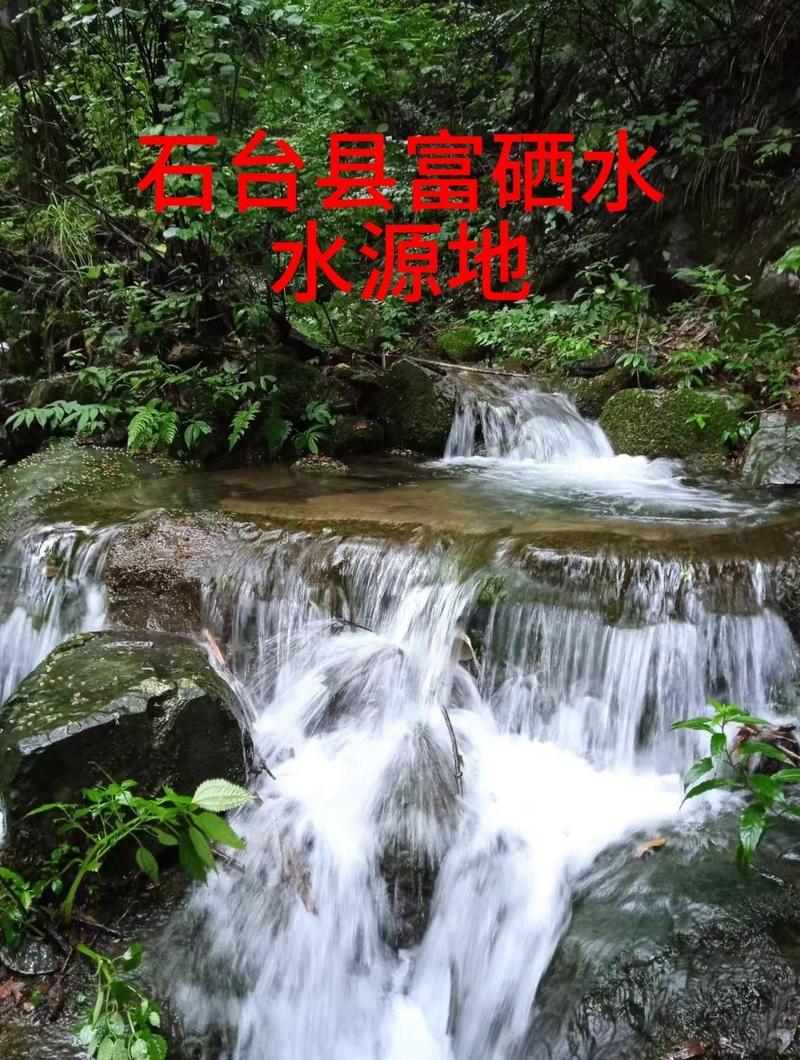 自有地皮出租/可以做富硒水生产基地、和民宿