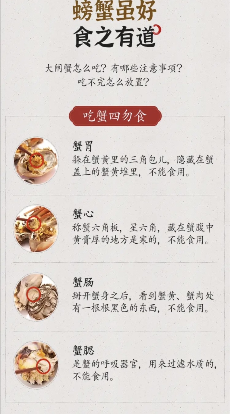 江苏兴化市兴化大闸蟹红膏大闸蟹精品全母10只装各种规格