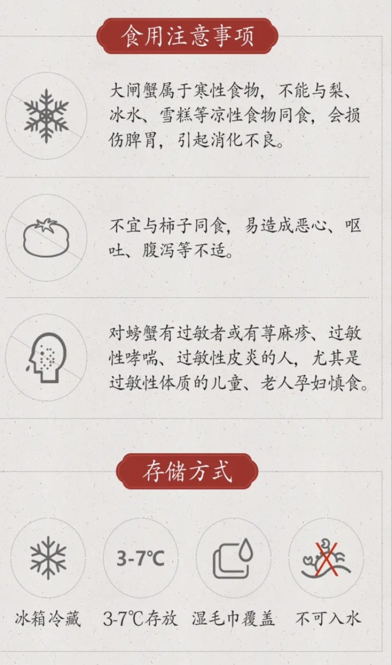 江苏兴化市兴化大闸蟹红膏大闸蟹精品全母10只装各种规格