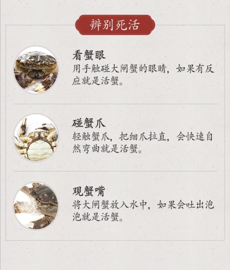 江苏兴化市兴化大闸蟹红膏大闸蟹精品全母10只装各种规格