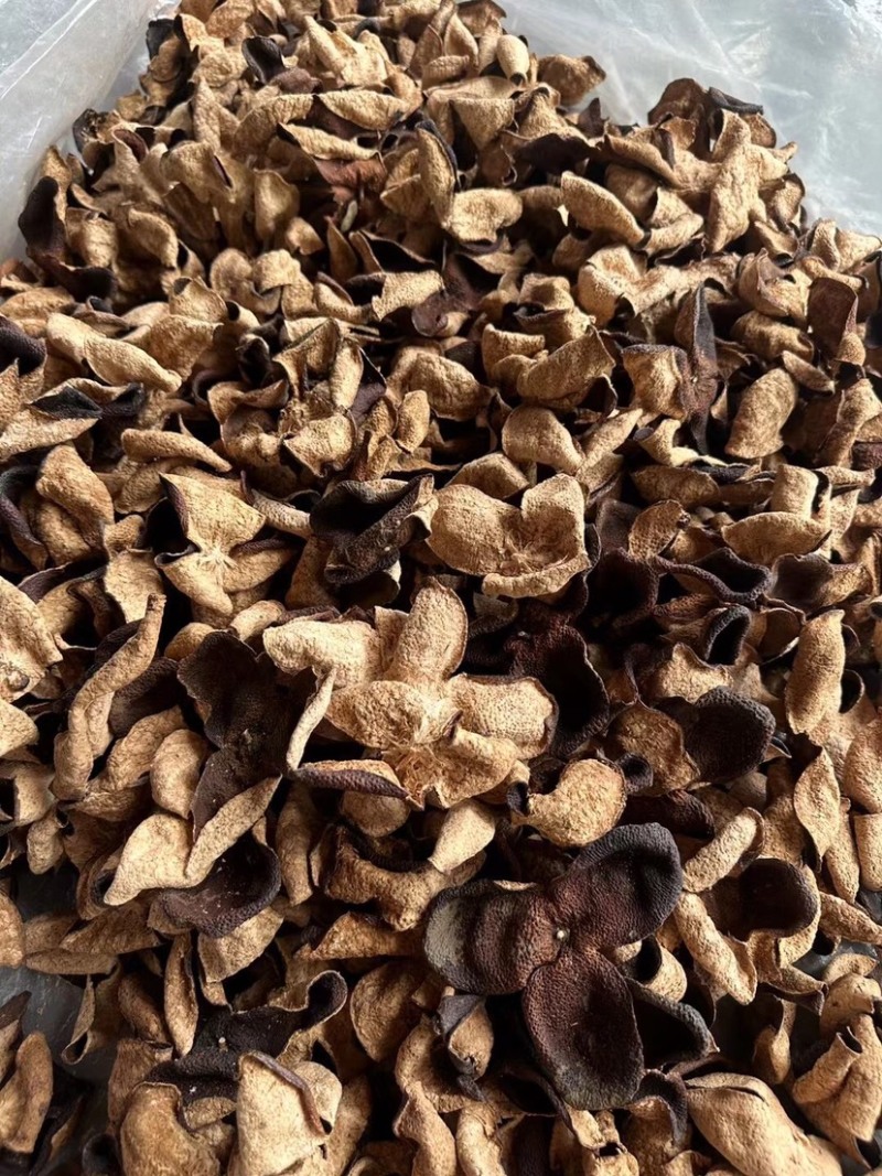 新会陈皮正🀄️20年泡水老陈皮干茶陈皮