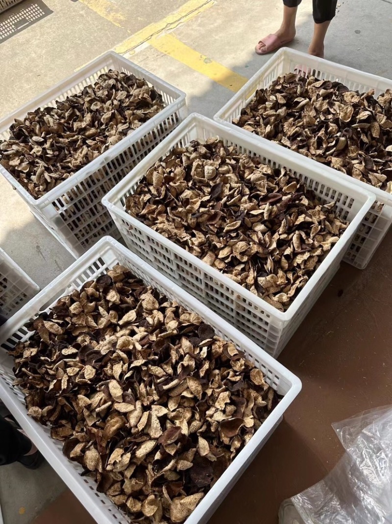 新会陈皮正🀄️20年泡水老陈皮干茶陈皮