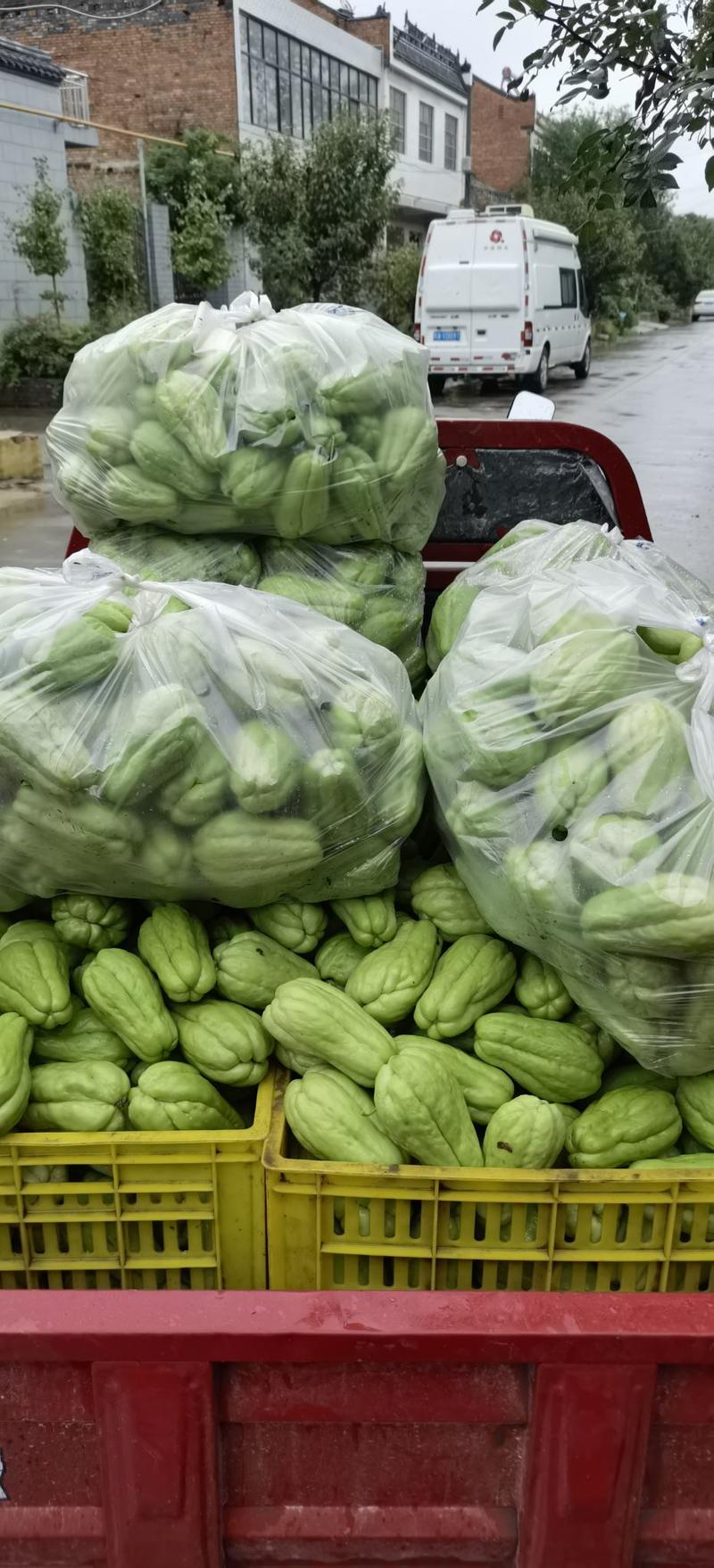 西安精品佛手瓜，半斤以上产地发货，一手货源，欢迎咨询