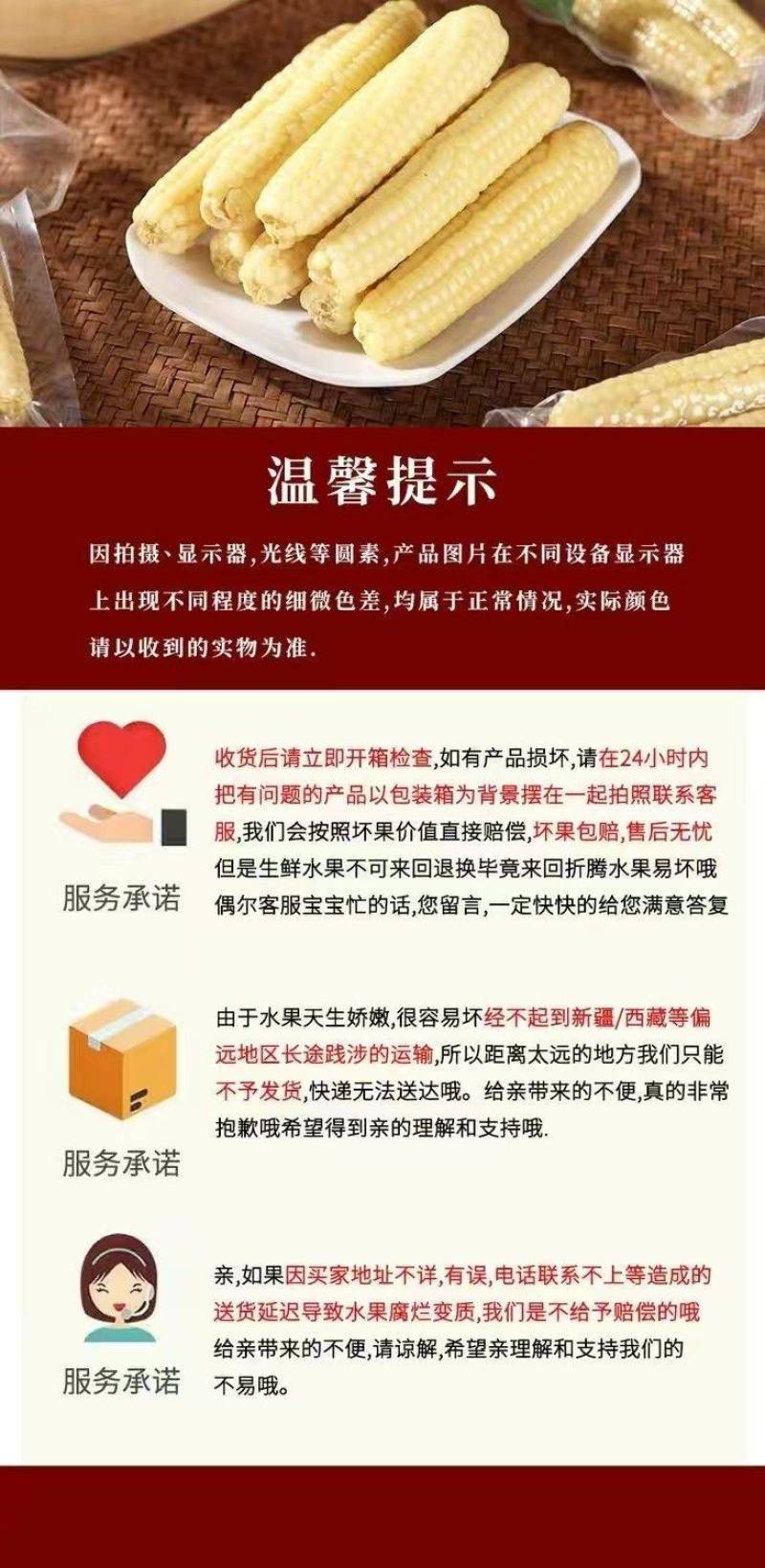 拇指玉米甜糯婴儿童宝宝云南西双版特产纳新鲜傣小手指糯玉米