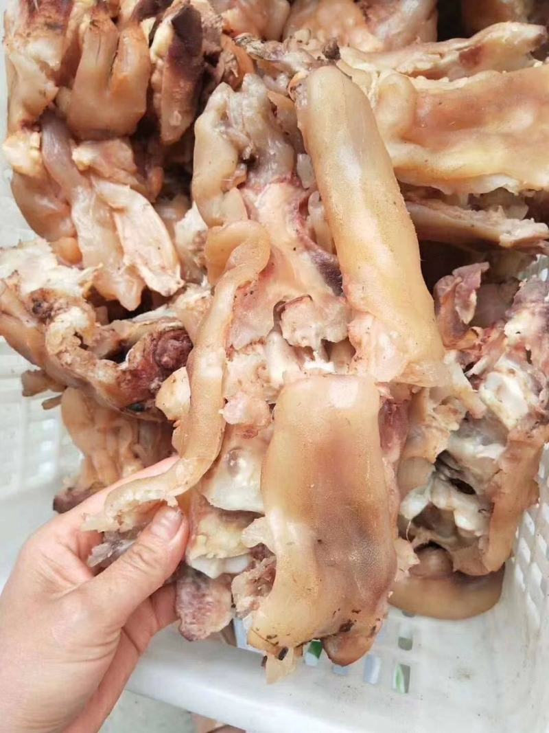 【推荐牛蹄筋】清真熟牛肉去油去骨头熟牛蹄筋支持一件代发
