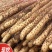 农家蔬菜小白嘴铁棒杆铁棍山药河北衡水山药新鲜