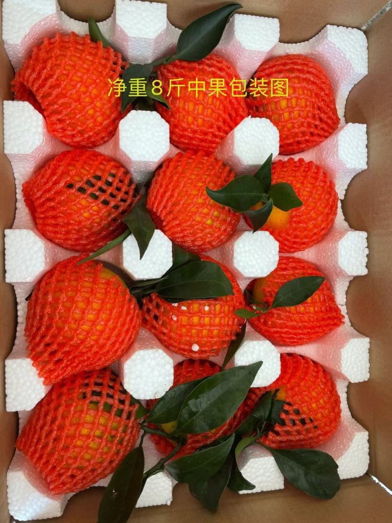 【爱媛果冻橙】新品上市原产地直发支持一件代发整车发电联