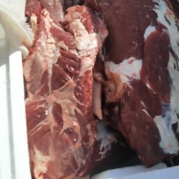 热鲜纯干牛肉