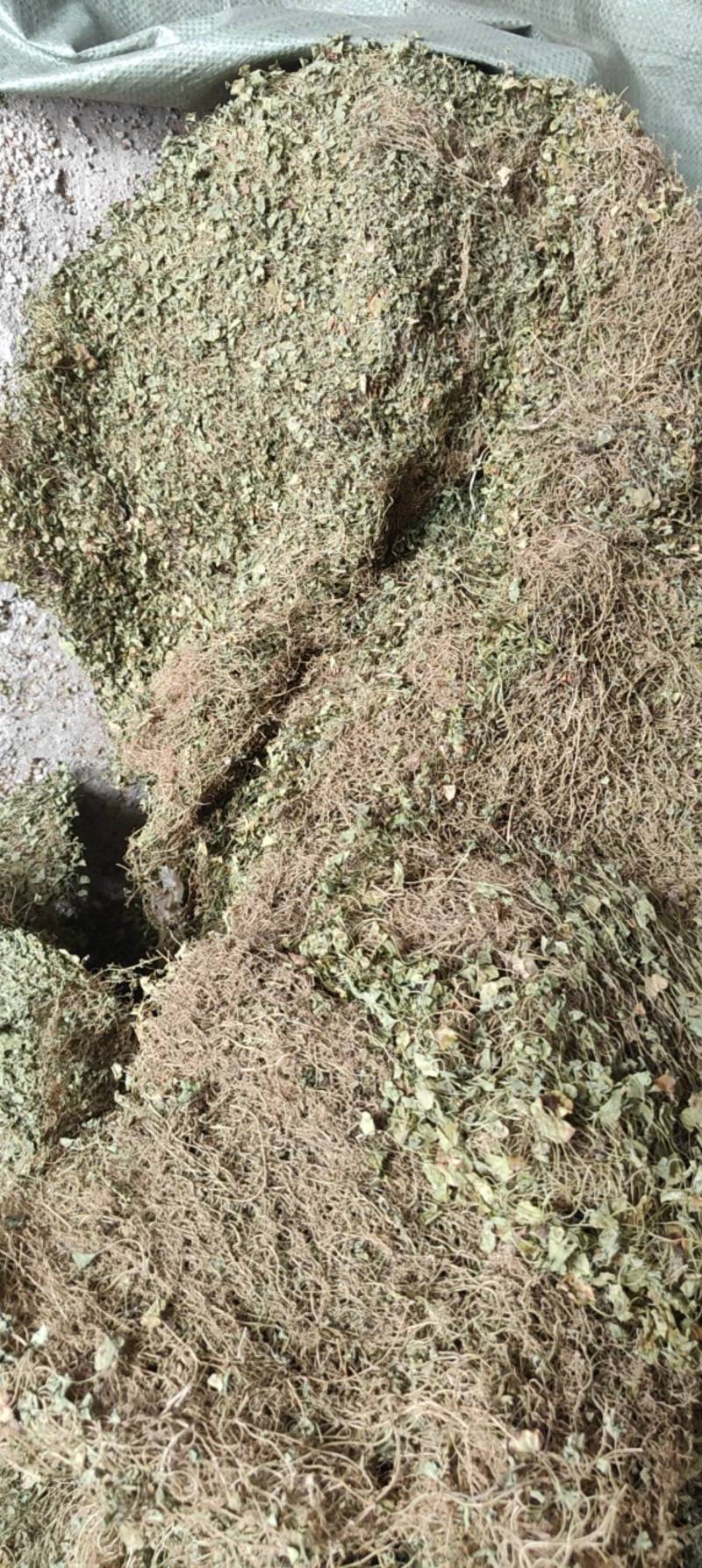 水洗马蹄金铜钱草