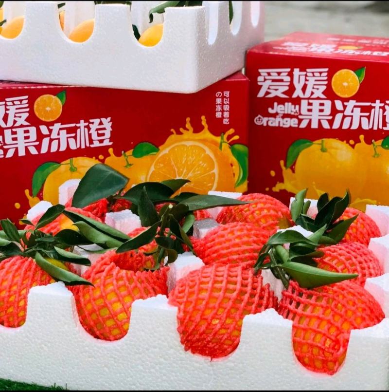 【爱媛28】新品上市支持一件代发整车发货物流发货