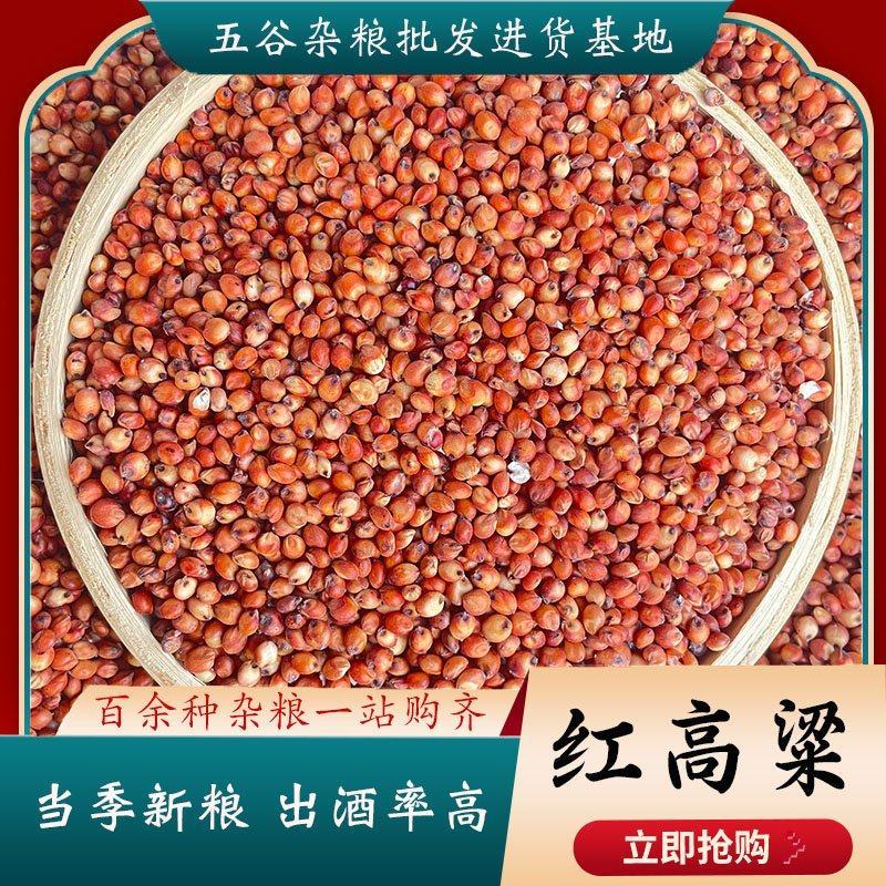 酿酒用红高粱粳高粱价格实惠出酒率高视频看货诚信经营等您