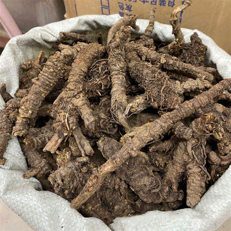 羌活蚕羌川羌裂叶羌活竹节羌包邮无提羌活蚕羌川羌裂叶