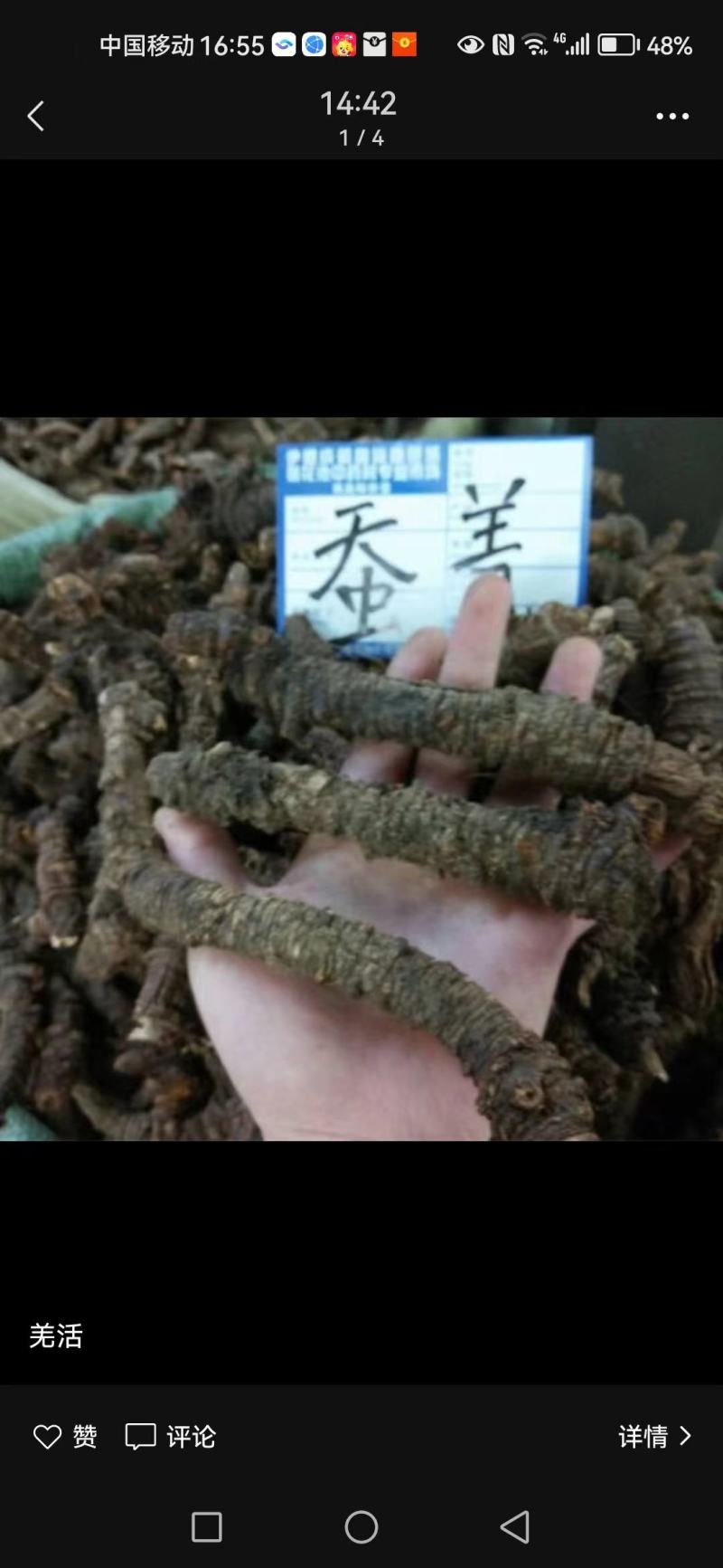 羌活蚕羌川羌裂叶羌活竹节羌包邮无提羌活蚕羌川羌裂叶