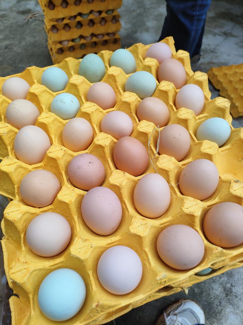 湖北山林散养初生蛋12个一斤