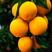 湖南麻阳冰糖橙，大量上市社区团购电商大量供应