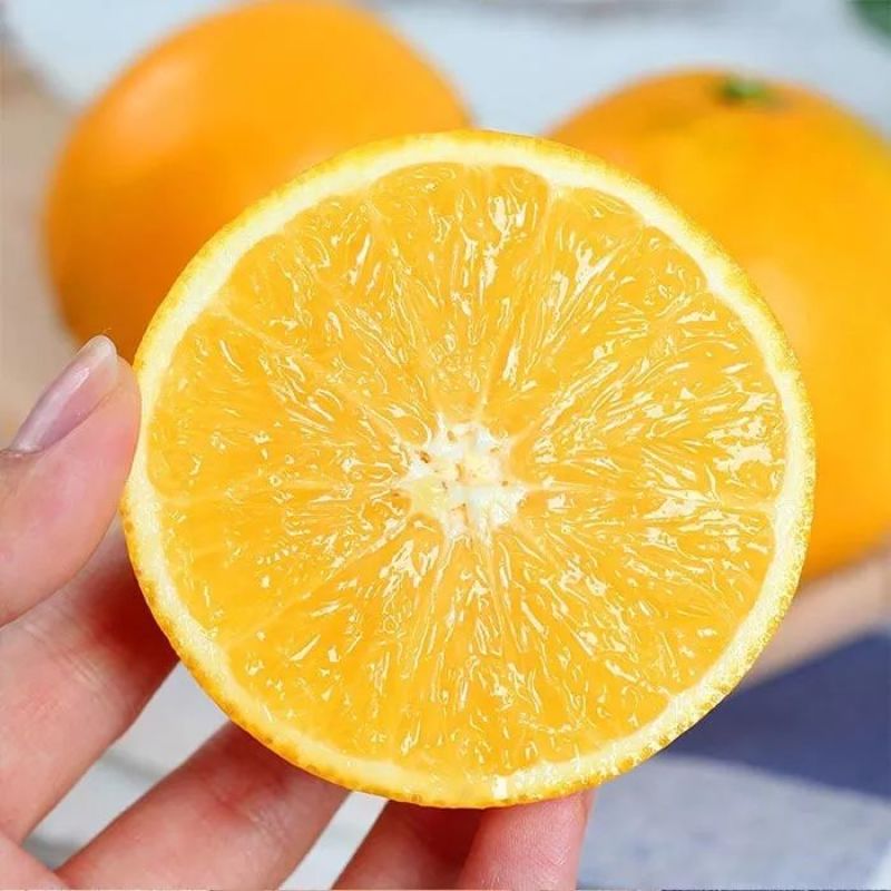 湖南麻阳冰糖橙，大量上市社区团购电商大量供应